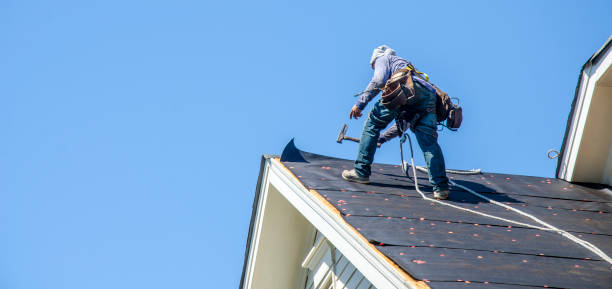 Best Roof Waterproofing Services  in Park Center, CO